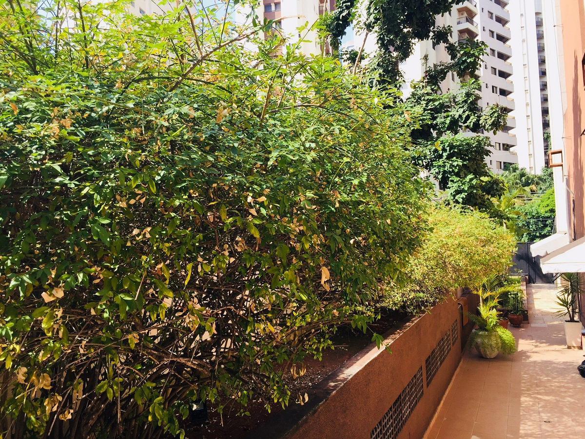 Duplex Moema Ao Lado Do Parque Lejlighed São Paulo Eksteriør billede